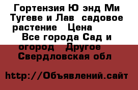 Гортензия Ю энд Ми Тугеве и Лав, садовое растение › Цена ­ 550 - Все города Сад и огород » Другое   . Свердловская обл.